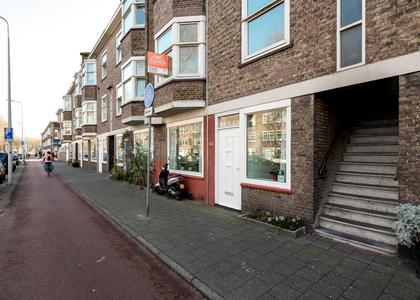 Zuiderparklaan 433