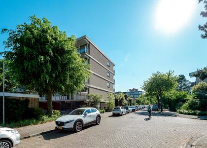 Catharina van Rennesstraat 162
