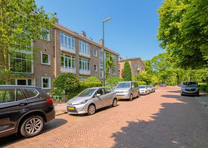 Therese Schwartzestraat 122