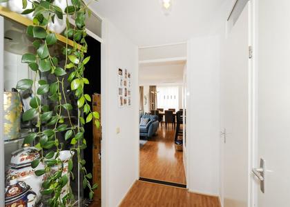 Dorus Rijkersplein 22