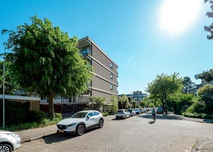 Catharina van Rennesstraat 162