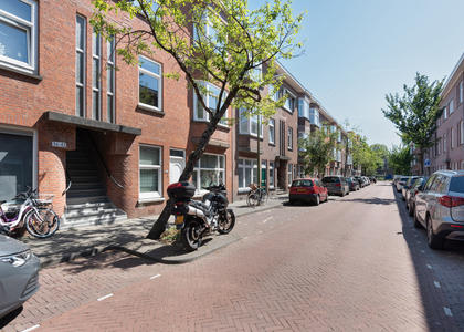 Drijfriemstraat 42